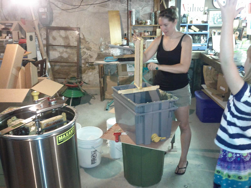 Laura extracting honey while a very excited neighboor watches