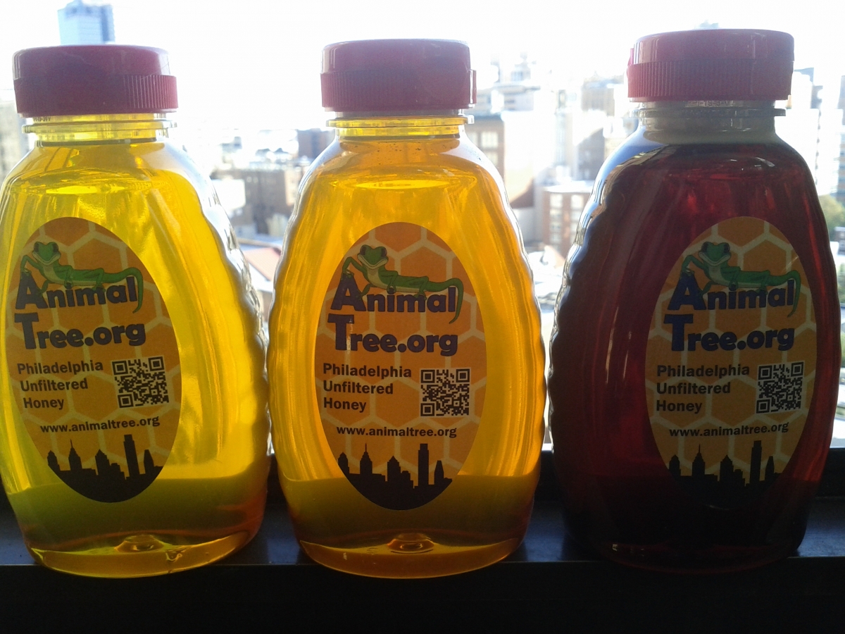 Honey harvested in 2012 with the new labels on the bottles