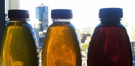 honey harvested in 2012