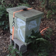 A branch with leaves in front of the entrence to a bee hive