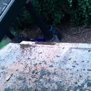 What is left of a dead swarm of bees