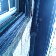 Where the bees might have originated from in the building